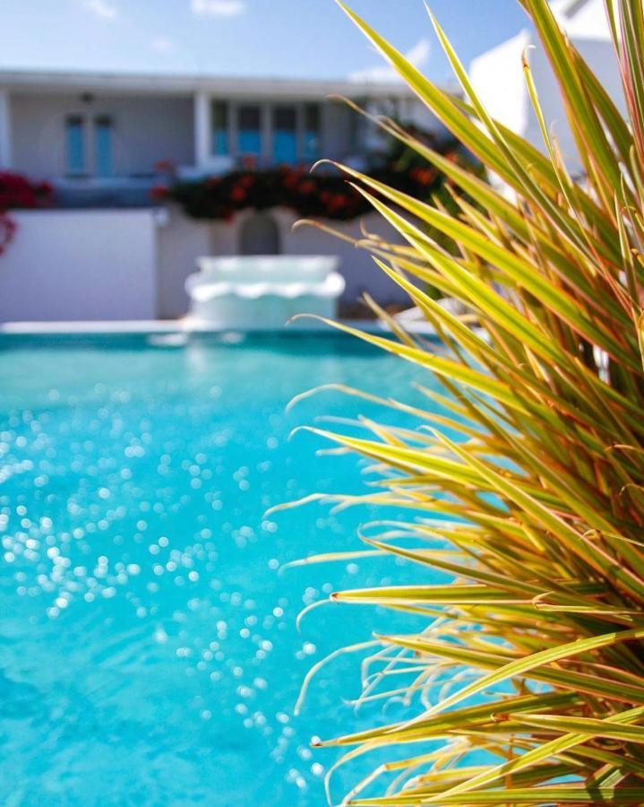Trade Winds Hotel Dickenson Bay Εξωτερικό φωτογραφία