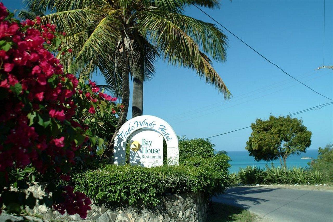 Trade Winds Hotel Dickenson Bay Εξωτερικό φωτογραφία