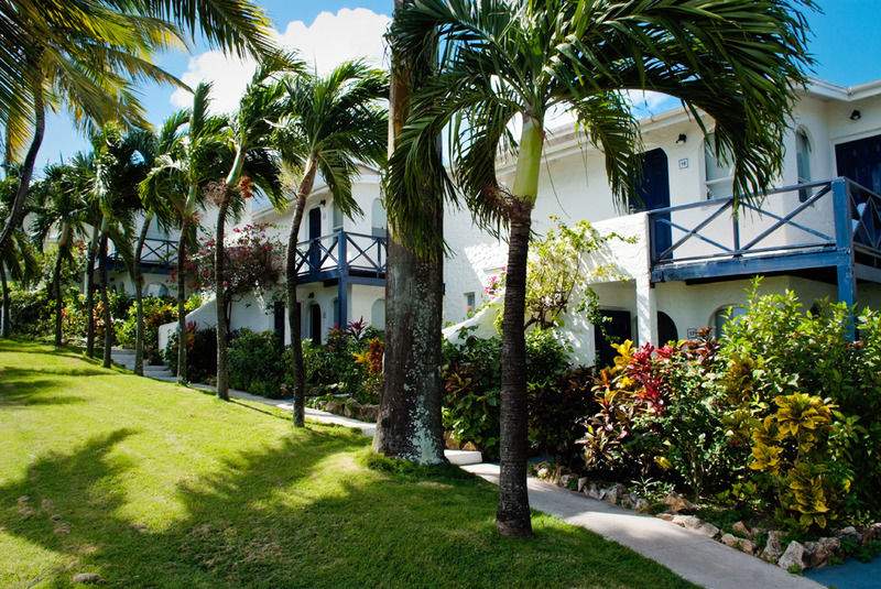Trade Winds Hotel Dickenson Bay Εξωτερικό φωτογραφία