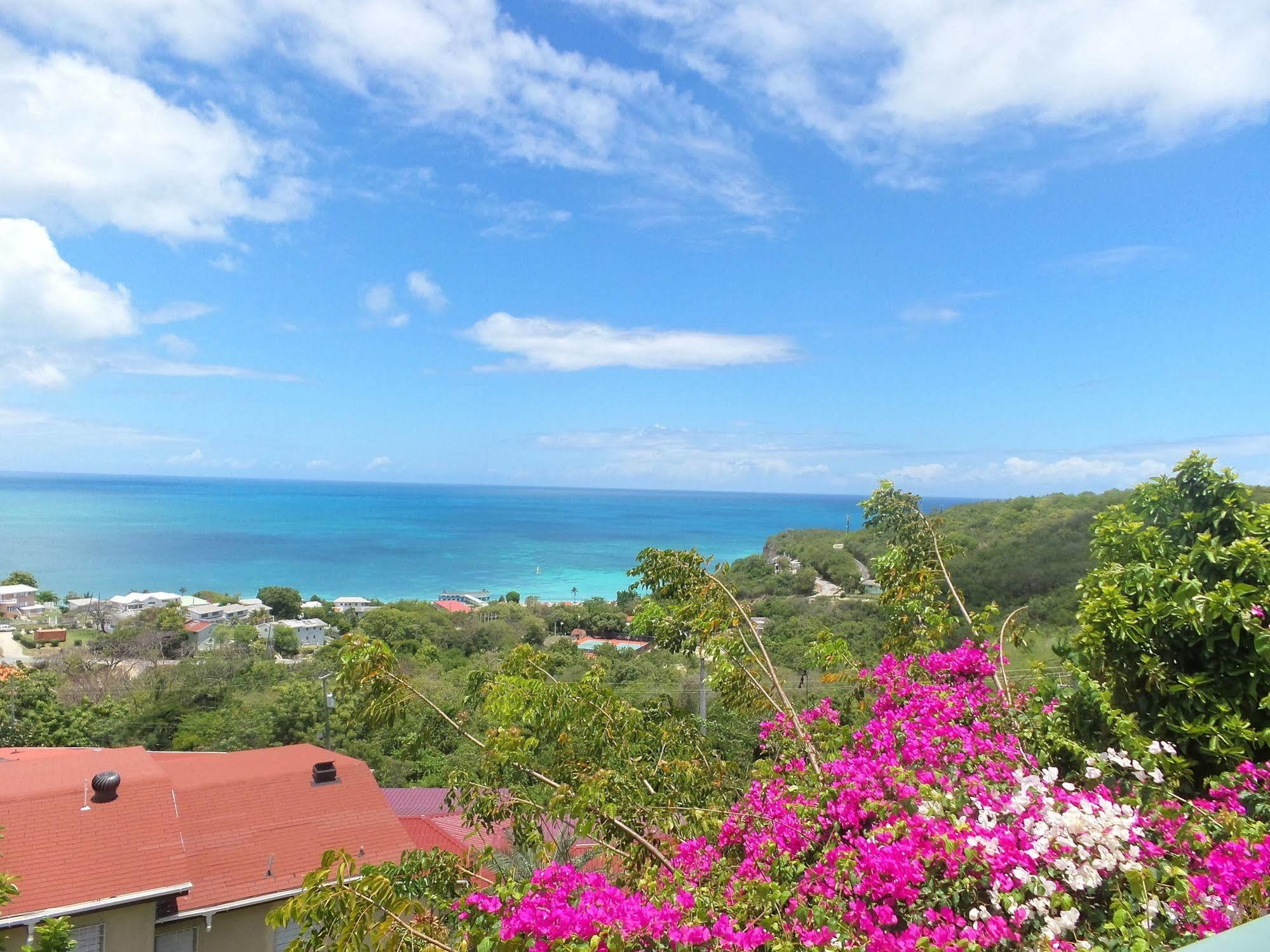 Trade Winds Hotel Dickenson Bay Εξωτερικό φωτογραφία